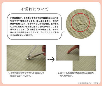 クッションい草 抗菌防臭 消臭 シンプル 小林製薬コバガード使用 クリア フィットクッション 2個セット 送料無料_9