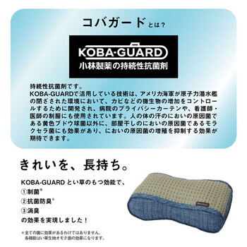 クッションい草 抗菌防臭 消臭 シンプル 小林製薬コバガード使用 クリア フィットクッション 2個セット 送料無料_1