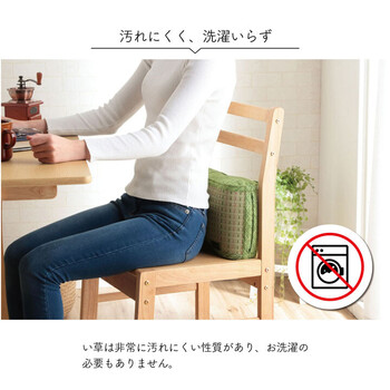 クッションい草 抗菌防臭 消臭 シンプル 小林製薬コバガード使用 クリア フィットクッション 2個セット 送料無料_6