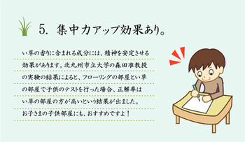 純国産 い草花ござ 江戸間4.5畳 約261×261cm FUBUKI 送料無料_9