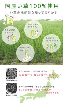 ラグ 約191×250cm 国産 い草 カーペット ふっくら ボリューム F市松和紋 送料無料_4