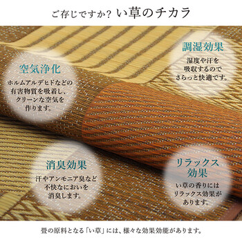 ラグ い草 江戸間1畳(約87×174cm) 国産 純国産 日本製 モダン 抗菌防臭 自然素材 パッチワーク 不織布 DX京刺子 送料無料_3