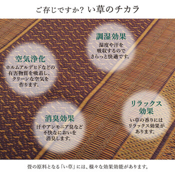 廊下 敷 敷き 約80×440cm 国産 純国産 日本製 い草 抗菌防臭 モダン 自然素材 不織布 DXランクス 廊下敷 送料無料_8