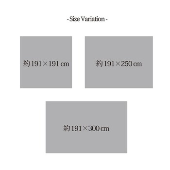 ラグ い草ラグ 消臭 カーペット 約191×300cm 裏 不織布 滑りにくい加工 NSベール NSグラン NSプレア 送料無料_9