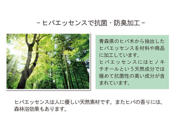 ラグ い草ラグ 消臭 カーペット 約191×300cm 裏 不織布 滑りにくい加工 NSベール NSグラン NSプレア 送料無料_3