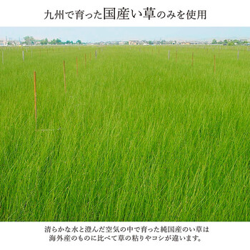 カーペット 純国産 掛川織 花ござ 本間2畳(約191×191cm) い草 敷物 カーペット 松川 送料無料_2