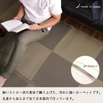 ラグ 洗える ござ 江戸間8畳(約348×352cm) 日本製 国産 カーペット 丈夫 敷詰 ラグ 敷物 アウトドア レジャー ペット ラフテル 送料無料_1