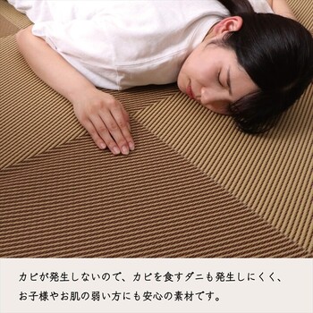 ラグ 洗える ござ 江戸間8畳(約348×352cm) 日本製 国産 カーペット 丈夫 敷詰 ラグ 敷物 アウトドア レジャー ペット ラフテル 送料無料_4