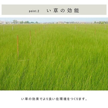 国産 い草 日本製 置き畳 約70×70×3cm4P（4枚組）　ユニット畳 簡単 和室 ネイラル U畳 送料無料_8