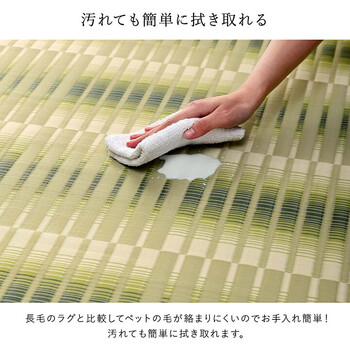 ラグ 洗える ござ ベージュ江戸間10畳（約435×352cm）　日本製 国産 カーペット 丈夫 除菌スプレー対応 敷詰 ラグ 敷物 日和 送料無料_2