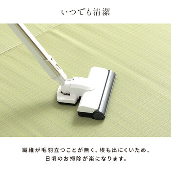カーペット 日本製 洗えるPPカーペット 江戸間8畳　五木 アウトドアにも 送料無料_7