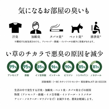 マットレス ベージュ約120×210cm セミダブル 日本 国産 畳 カビ防止 置き畳 軽量 梅雨 湿気 新生活 フロアマット フレア マットレス 送料無料_8