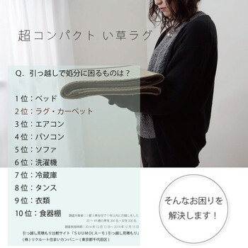 引っ敷き い草引っ敷き 約135×180糎 格好のいい パウダーコンパクト 分かりやすい 引っ敷き DXモーセ 貨物輸送無料