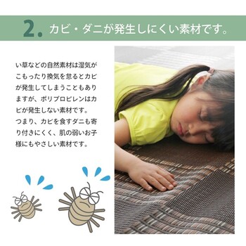 ラグ 江戸間6畳 PPカーペット Fウィード 送料無料_3