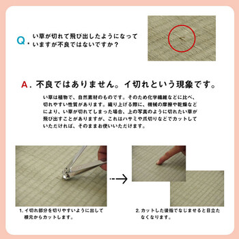 カーペット い草 上敷き カーペット 江戸間6畳 制菌 抗菌防臭 消臭 小林製薬KOBA GUARD コバガード上敷 送料無料_6