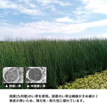 置き畳 6枚組 い草 日本製 消臭 抗菌防臭 ダニ増殖抑制 無地 約82×82×1.8cm 滅ダニ U畳 送料無料_8