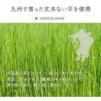 花柄 高級感 玄関マット 約70×120cm 室内 おしゃれ 玄関 マット 日本製 抗菌防臭 国産 いぐさ 玄関マットFネム 送料無料_2