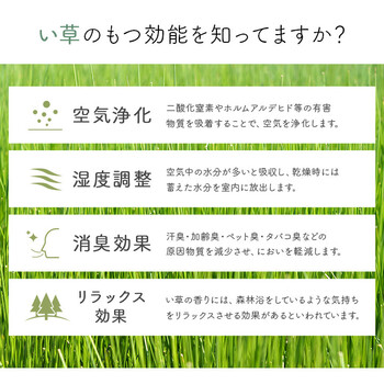 花柄 高級感 玄関マット 約70×120cm 室内 おしゃれ 玄関 マット 日本製 抗菌防臭 国産 いぐさ 玄関マットFネム 送料無料_3