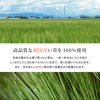 カーペット 国産い草カーペット 江戸間8畳 柄上敷き 花ござ 紋織 清涼 ベージュ 江戸間 本間 1~8帖 送料無料_1