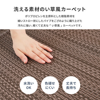 PP柄上敷き い草風花ござ 江戸間8畳 水洗いOK 日本製 ライアン 送料無料_1