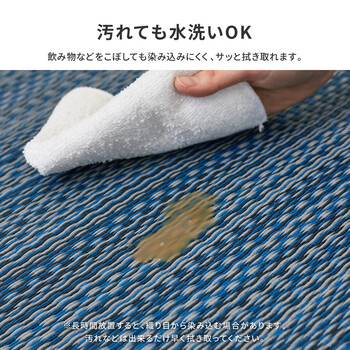 PP柄上敷き い草風花ござ 江戸間8畳 水洗いOK 日本製 ライアン 送料無料_3