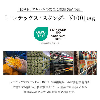 玄関 マット 約60×95cm トルコ製 ウィルトン 織り クラシカル柄 繊細 抗菌防臭 消臭 アルスラーン 送料無料_4