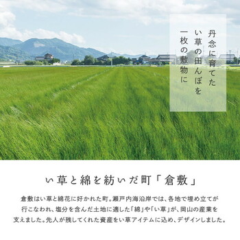 カーペット 国産い草カーペット 本間8畳 柄上敷き 花ござ 三重織 せとのと 倉ノ戸 2カラー 江戸間 本間 2~8帖 送料無料_2