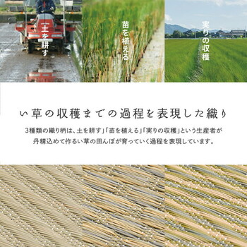 カーペット 国産い草カーペット 本間8畳 柄上敷き 花ござ 三重織 せとのと 倉ノ戸 2カラー 江戸間 本間 2~8帖 送料無料_3