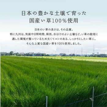 カーペット 国産い草カーペット 本間8畳 柄上敷き 花ござ 三重織 せとのと 倉ノ戸 2カラー 江戸間 本間 2~8帖 送料無料_7