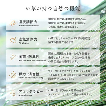 カーペット 国産い草カーペット 本間8畳 柄上敷き 花ござ 三重織 せとのと 倉ノ戸 2カラー 江戸間 本間 2~8帖 送料無料_8