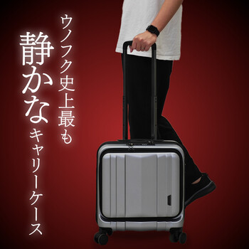 スーツケース BAGGEX SILES キャリーケース横型 05 5210 送料無料_1