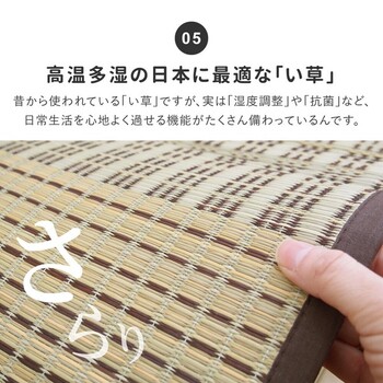 ラグ 厚手 ウレタン8mm／約240×240cm　薄手が選べる い草ラグ 裏貼り ふっくら 折りたためる クレパス 2カラー 5サイズ 送料無料_6