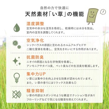 ラグ 厚手 ウレタン8mm／約240×240cm　薄手が選べる い草ラグ 裏貼り ふっくら 折りたためる クレパス 2カラー 5サイズ 送料無料_7