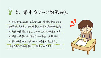 カーペット 掛川織 江戸間6畳約261×352cm　い草カーペット 雲仙 送料無料_9