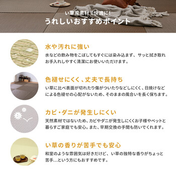 水拭きできる い草風 PP 置き畳 約W65×D65×H2.5cm　12枚組　縁なし 滑り止め 綾模様 4カラー 送料無料_3