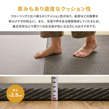 水拭きできる い草風 PP 置き畳 約W82×D82×H2.5cm 9枚組 縁なし 滑り 