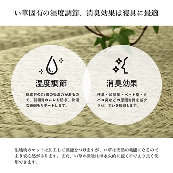 日本製 い草 約70×180cm　い草マット マット ごろ寝マット フリーマット クッション性 和風柄 いろは6つ折りマット 送料無料_4