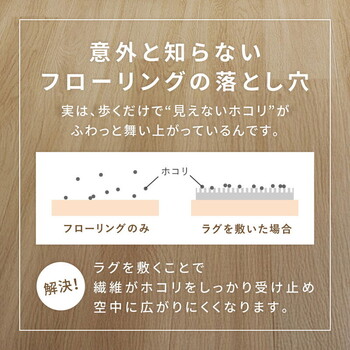 ラグ ダイニングラグ 約220×180cm 防ダニ 抗菌 はっ水 日本製 モニカ 2カラー 3サイズ 送料無料_1