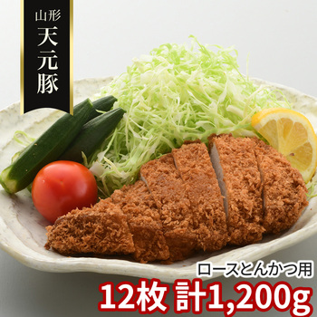 円錐小体 天元豚 ロースとんかてて加えて用12枚 計1200g 凝結 豚 国産 貨物輸送無料