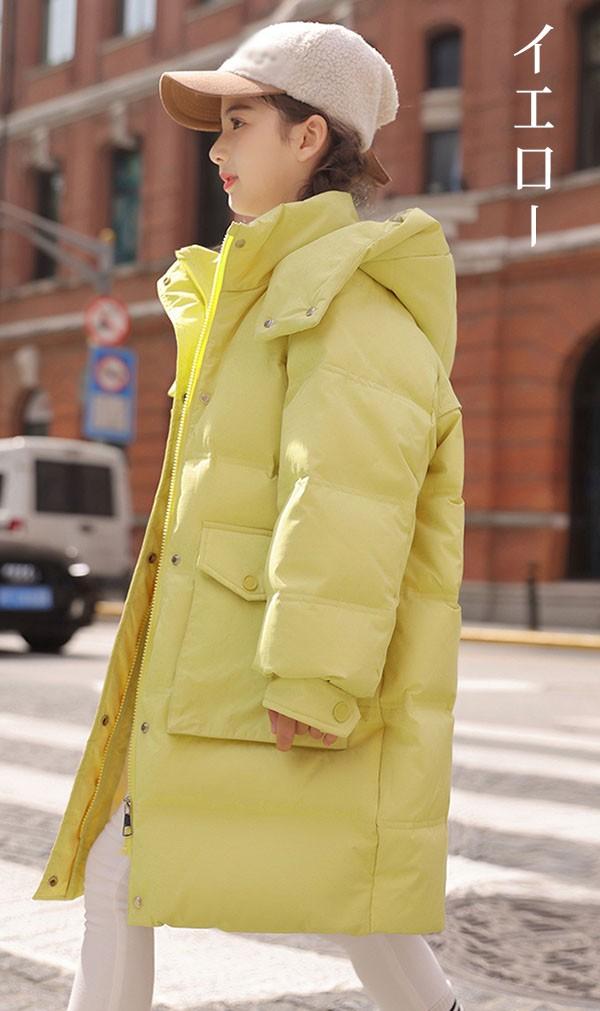 えり ☆ZARAザラ本革取り外し可襟 レザー ジャケットブルゾン (ZARA