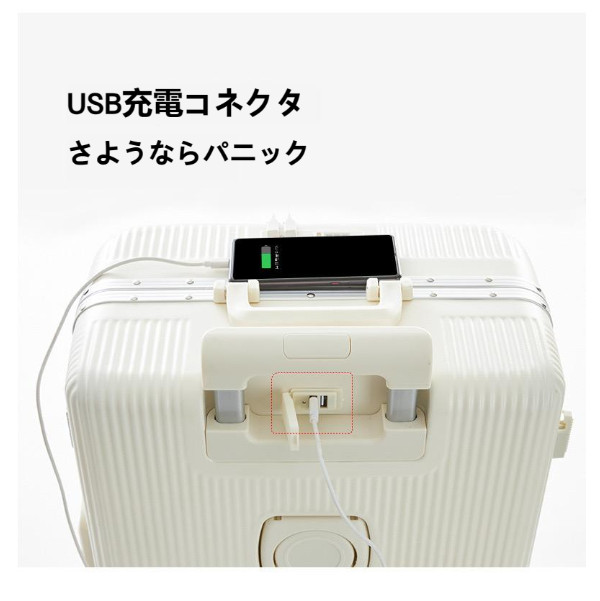 旅行バッグ 耐衝撃 はいり込む背広 商行為 好いたらしい 可愛らしい 外国で出張 水色 さくら色 格好のいい ダブルキャスター