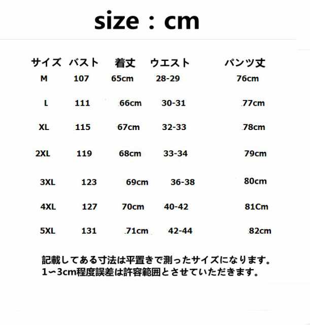 春新作 セットアップ 上下セット メンズ ジャージ カジュアル サルエル