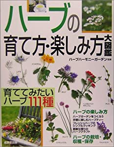 論文作成の要点 (要点シリーズ)(未使用の新古品)の通販は
