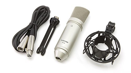TASCAM コンデンサーマイクロホン TM-80(中古品)の通販は