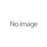 LIXIL[リクシル]・INAX[イナックス] 部品・パーツ 【CT-950A(4)N-BR-SET/WW(中古品)の通販は