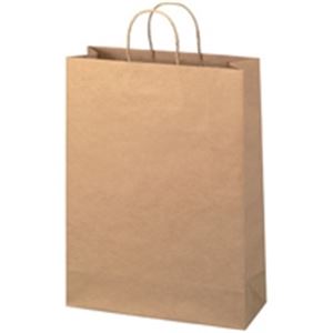 ジョインテックス 手提袋 丸紐 茶 特大 300枚 B290J-B6〔代引不可〕の通販は