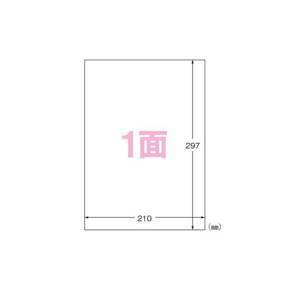 （まとめ） エーワン フィルムラベルシール A4判 ツヤ消しフィルム・透明／光沢フィルム・ホワイト 28795 10枚入 〔×2セット〕〔代引不可〕の通販は