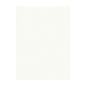 （まとめ） 文運堂 ニューカラーR 四ツ切 横392×縦542mm 4NCR-152 ミルク 100枚入 〔×2セット〕〔代引不可〕の通販は 