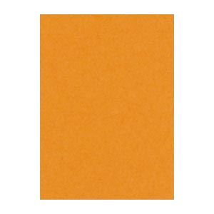 （まとめ） 文運堂 ニューカラーR 四ツ切 横392×縦542mm 4NCR-210 おうどいろ 100枚入 〔×2セット〕〔代引不可〕の通販は