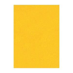 （まとめ） 文運堂 ニューカラーR 四ツ切 横392×縦542mm 4NCR-237 みかん 100枚入 〔×2セット〕〔代引不可〕の通販は